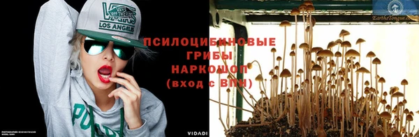 ПСИЛОЦИБИНОВЫЕ ГРИБЫ Баксан