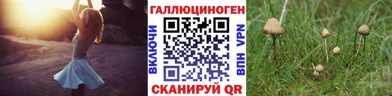 Галлюциногенные грибы Cubensis  как найти закладки  Коломна 
